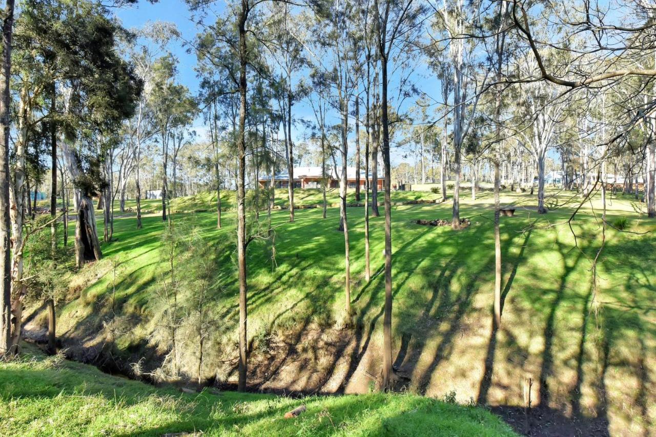 Wongaburra Homestead Branxton Exteriör bild