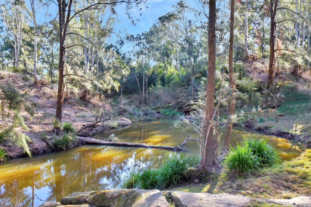 Wongaburra Homestead Branxton Exteriör bild